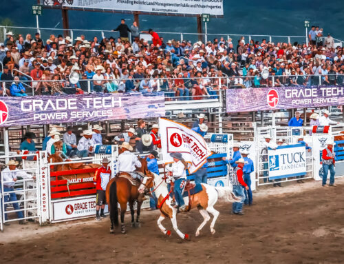 Riding High at the Oakley Rodeo